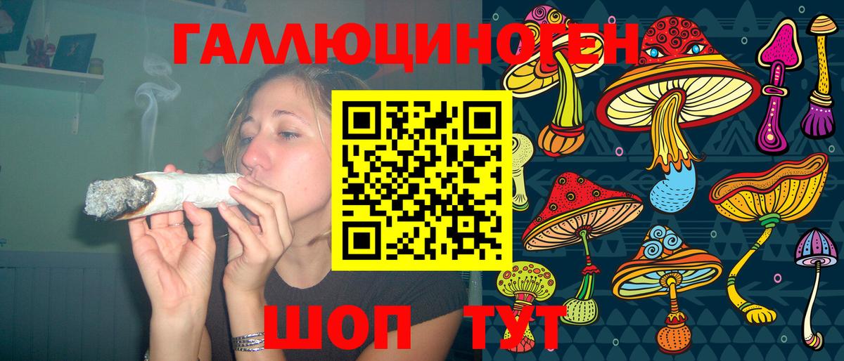 закладка  Галлюциногенные грибы мицелий  Вход с VPN  Каменск-Уральский  Галлюциногенные грибы Psilocybine cubensis 